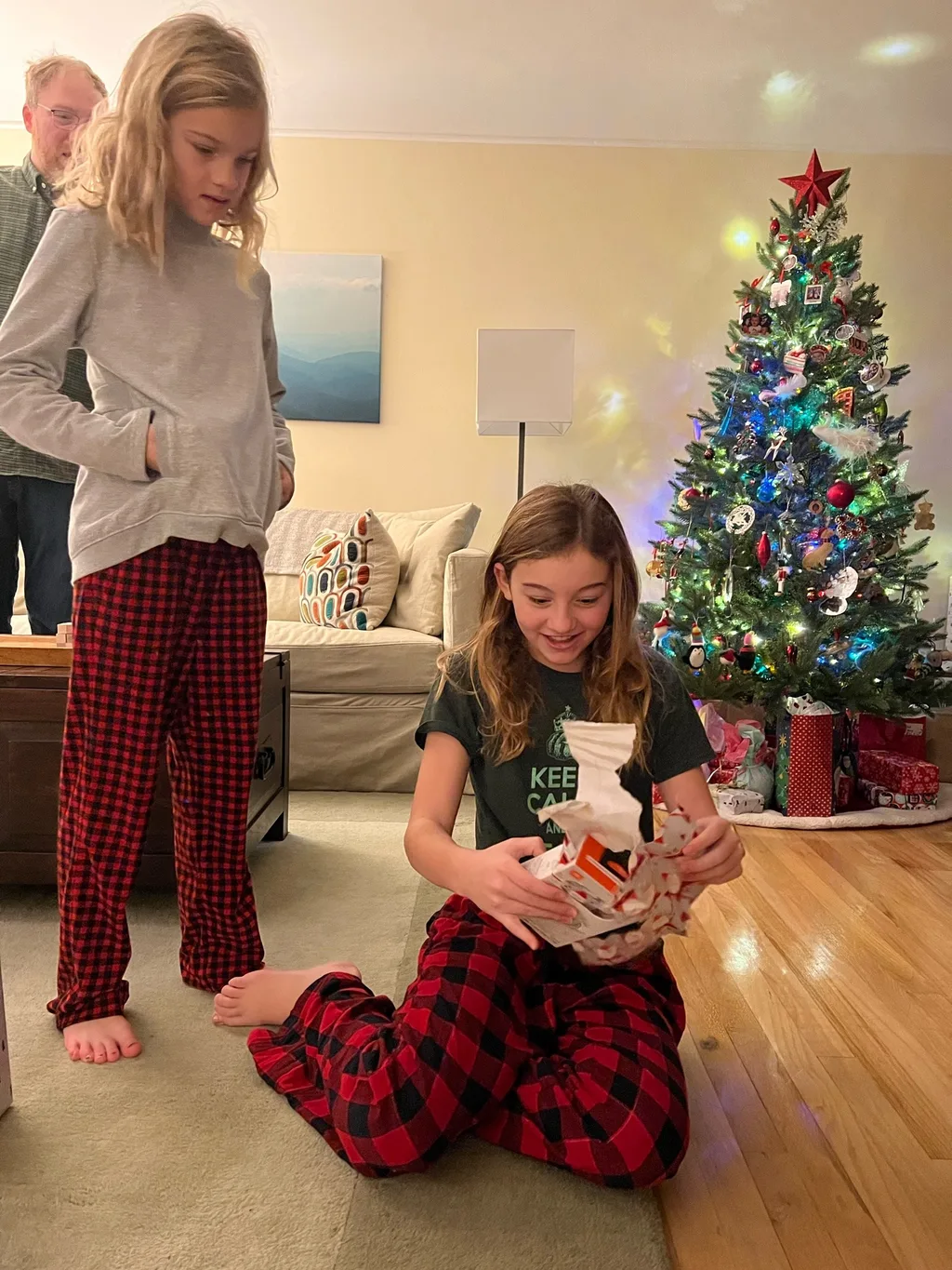 Christmas morning! Santa brought wireless earbuds and 3D printer pens!