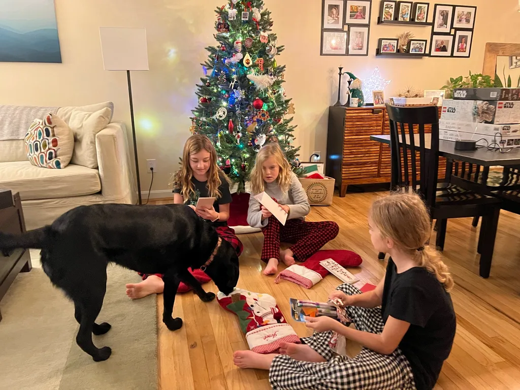 Christmas morning! Santa brought wireless earbuds and 3D printer pens!