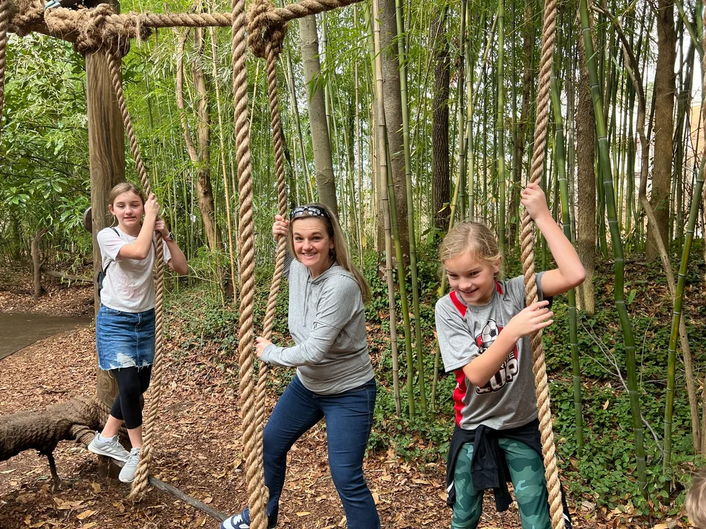 The high on December 27 in Cincinnati was 67! Perfect weather to visit the Zoo!