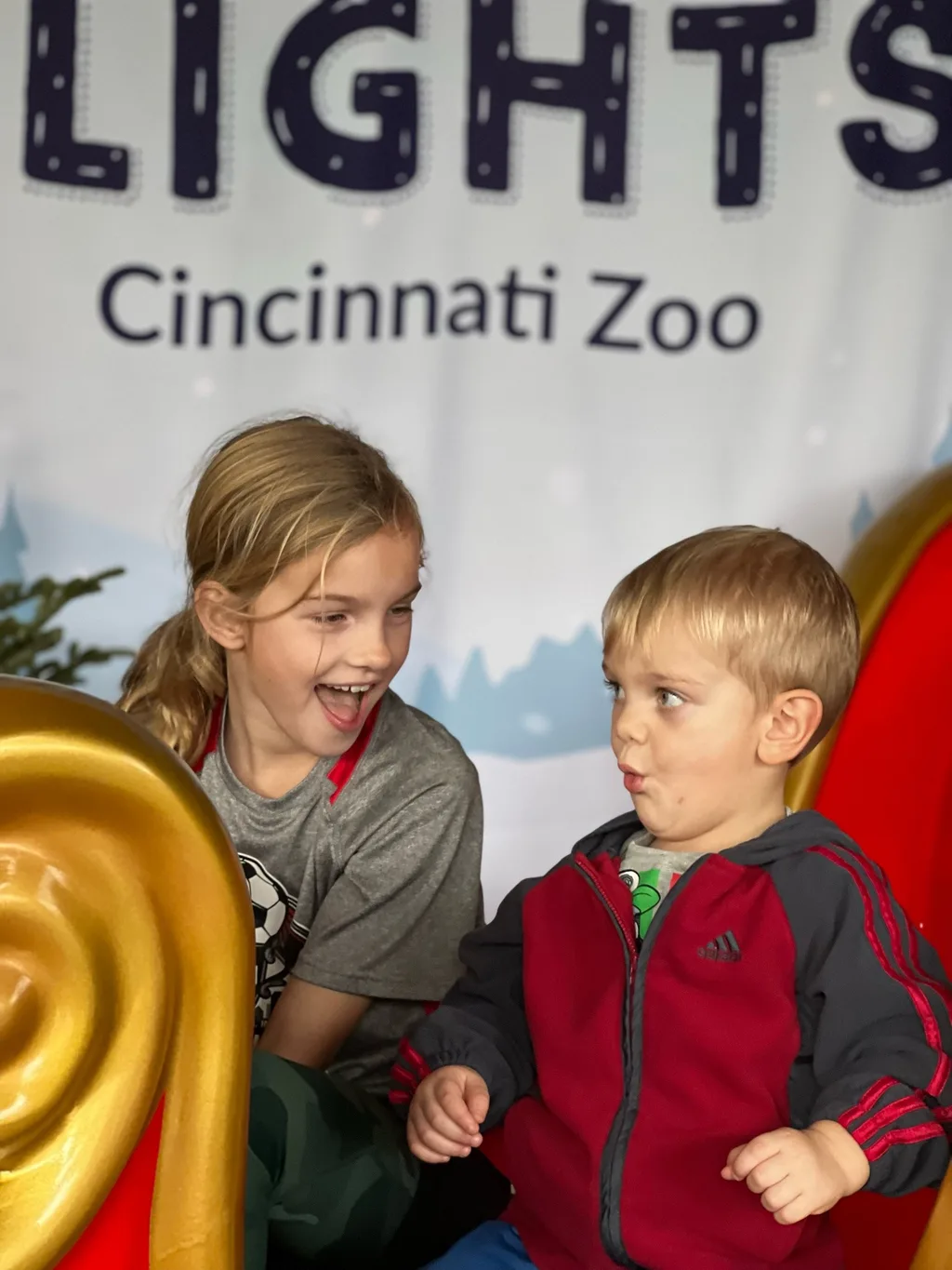 The high on December 27 in Cincinnati was 67! Perfect weather to visit the Zoo!