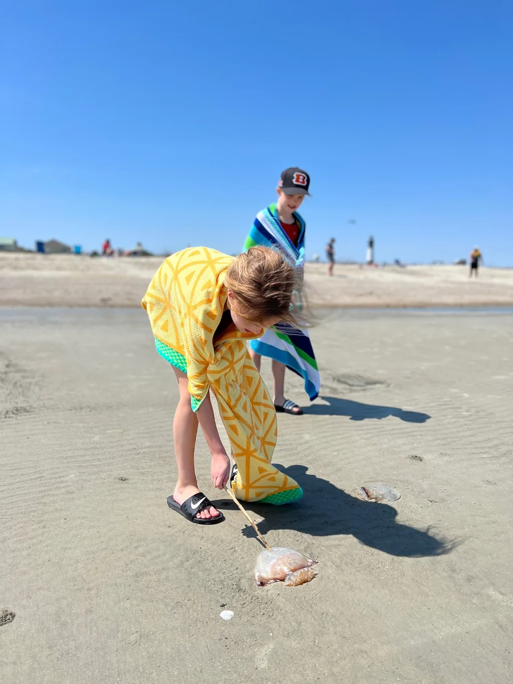 Another fun spring break visiting Em and Chris! We had the full experience: visits to Cumberland Island, Skidaway Island, Tybee Island, and downtown Savannah. The girls tried lots of new foods - a favorite were street tacos at Tacos and Tequila, a restaurant we liked so much that we went twice! The girls also loved finding hermit crabs in the ocean at Cumberland Island, and rescuing sand dollars and starfish at Tybee Island. We didn’t love the thousands of jellyfish washed up on the beach at Tybee, but the girls did love poking them and later learned that they are a non-stinging variety washed up due to high winds. The hiking was especially great this time - many days of 4+ mile hikes!