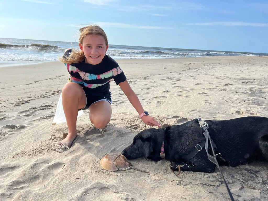 What an amazing trip to the OBX! We stayed in Salvo, one of the villages in the Cape Hatteras National Seashore. We all agreed we couldn’t have picked a better spot. The natural beauty of this place was incredible. I was amazed by the stretches of road where you could experience both the ocean and the sound at once. The waves were intense and the rip tides were terrifying, but beach walks were so nice. We loved collecting shells, hunting ghost crabs, watching the sun rise and set, splashing in the pool, watching Daisy swim, and our many excursions. Tailgating on the vehicle ferry boat ride to Ocracoke was fun. We also enjoyed jet skiing and a dolphin boat cruise from Wanchese. Watching the kite boarders while enjoying dinner at Waterman’s was a fun experience too.