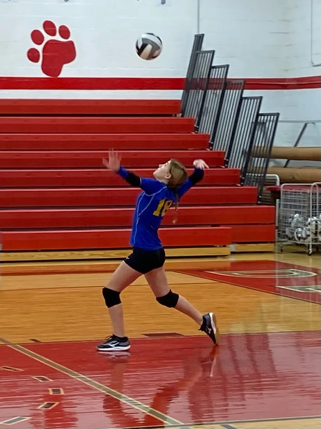 Undefeated! They crushed it this season and won the tournament!