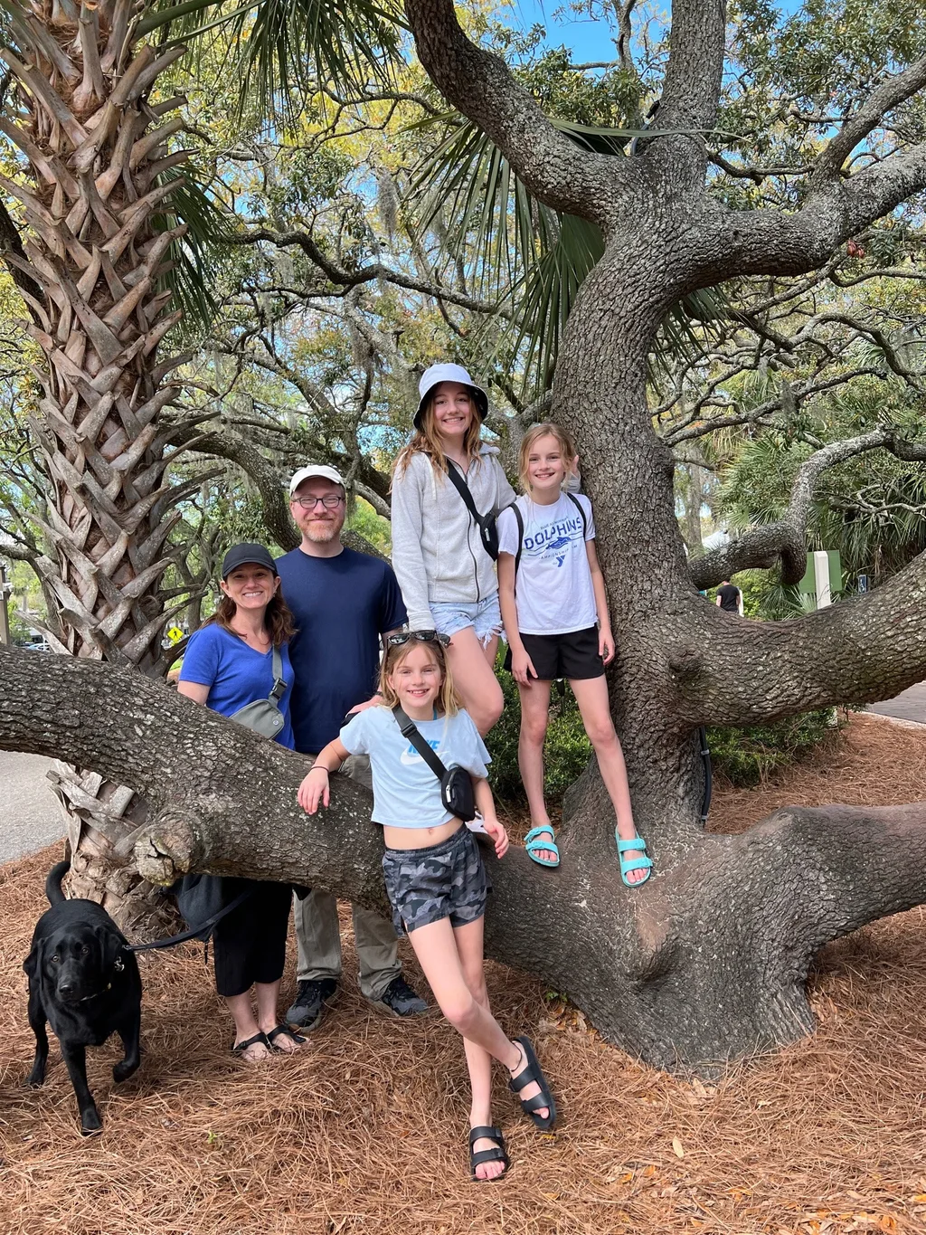 Another Spring Break in Savannah! Although the most important thing we did was finally meet the sweet Archie, we also had fun on Tybee and Hilton Head Islands and downtown. The weather was pretty cool, but the girls still happily swam in ocean.