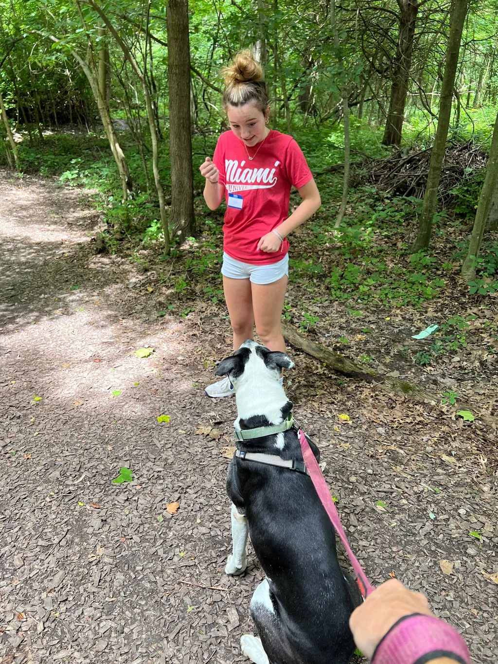 Abby celebrated her fourteenth birthday with a weekend packed full of fun: a trip to Kings Island with family and friends, a friends sleepover, volunteering at the League for Animal Welfare, and some cousin swimming time to celebrate Timmy’s birthday. She then rolled right into two weeks of intensive theater camp. Ms. Potts stole the show, in my opinion!