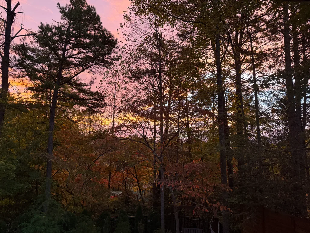 "Hi this is Gwen! I had a great time and we won one game, tied one and then lost in the semifinals sadly. My team went on a mountain coaster and we walked around downtown Gatlinburg and went in a mirror maze. At the cabin we stayed in there was a hot tub and pool, so me and my friends spent a lot of time in there! It was a lot of fun!"